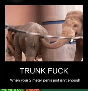 funny sex picture demotivational